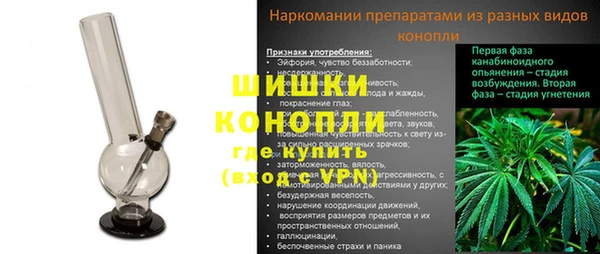 дмт Абаза